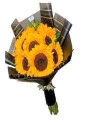 RAMO BLACK ,GIRASOL