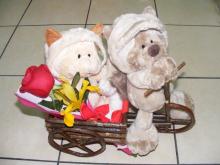 PAREJA SNOWCAT