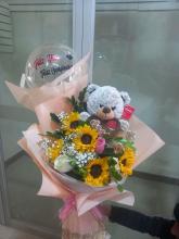 GIRASOL AND BEAR